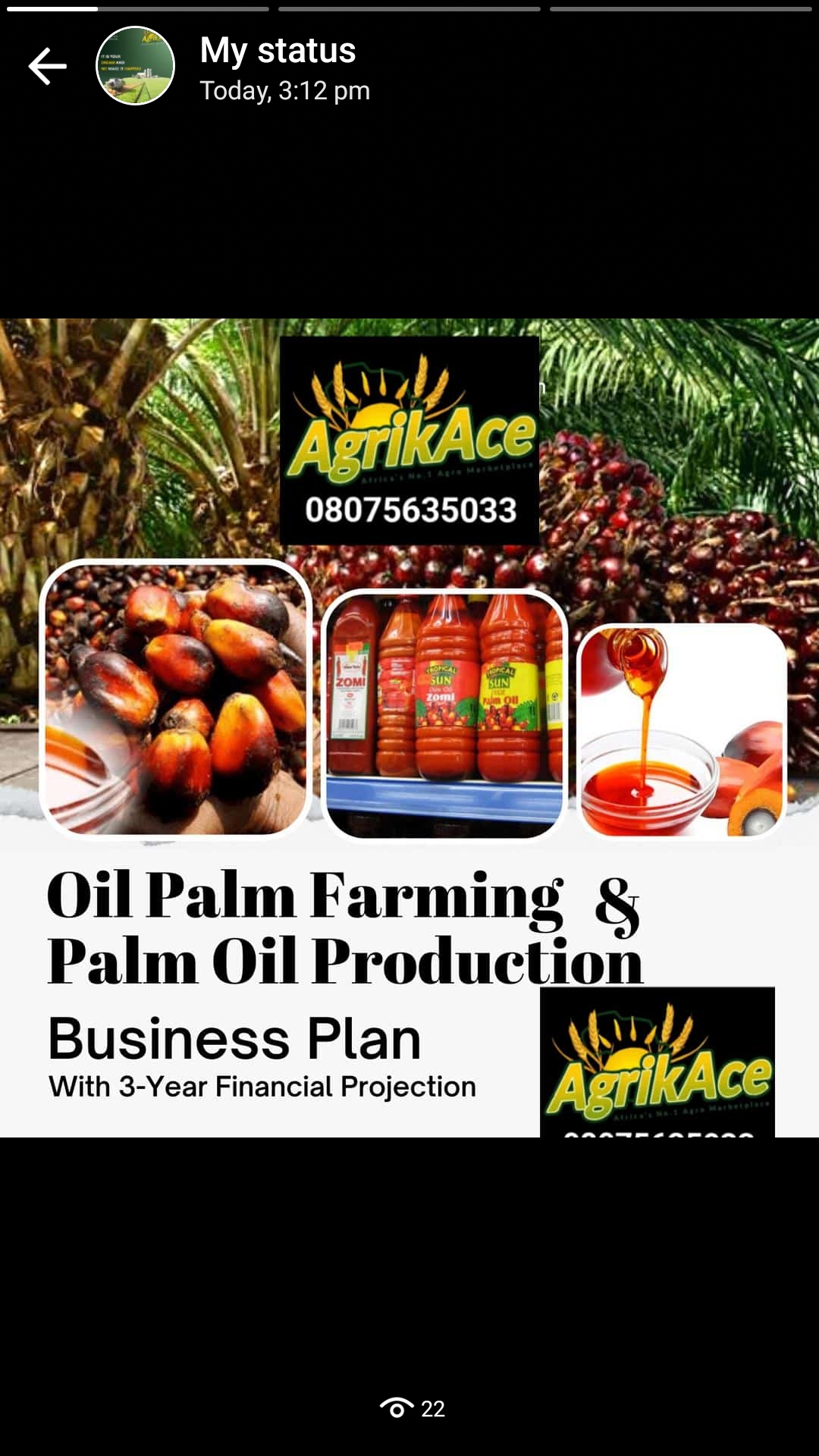business plan for palm oil production